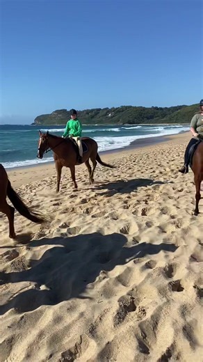 such a fun day #fyp #foryou #horsesoftiktok #beach #ridingfree #horseriding #horse #equestrian #horsetok #friends #fypシ #viral