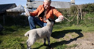 Legendary Dartmoor pub where you share your pint with pigs, lambs and chickens