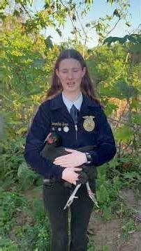 Central Florida Fair 2026 Commercial Laying Hen Market Video - Samantha Dean