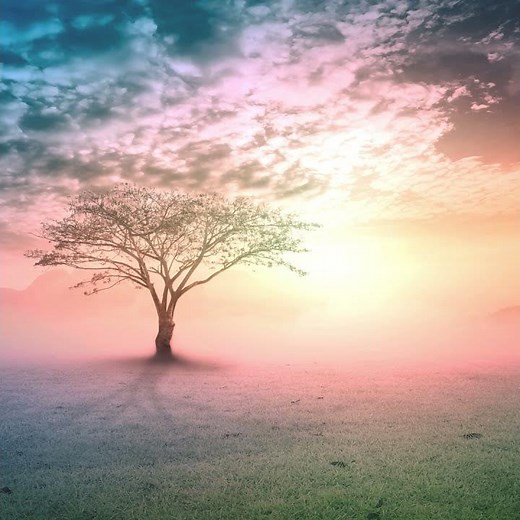 Mike Oldfield – Moonlight Shadow