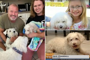 Arizona dog returns to family after going missing for 12 years: ‘Was like a new puppy again’