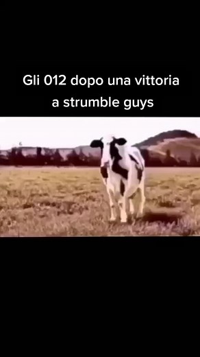 Retarded Cow Stumble Guy Meme | Ironia del Mucche
