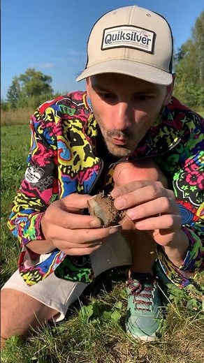 Episode 290 of the excavations / found Gravits Agatus