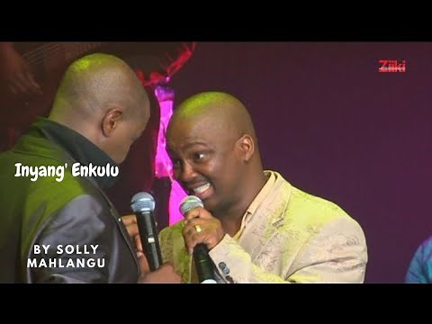 Inyang' Enkulu by Solly Mahlangu