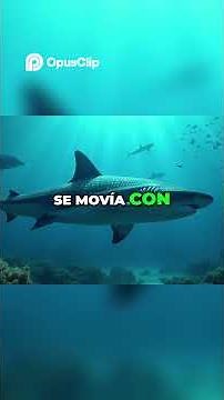 Megalodon: The Ultimate Predator of the Unleashed Ocean #prehistory