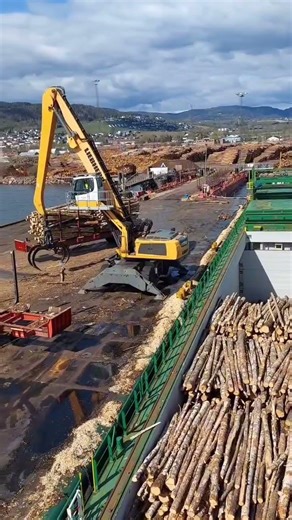 Liebherr LH 30 - Is High Performance Material Handler #shortvideo