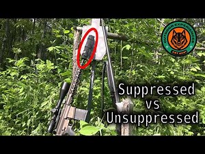 Suppressed vs Unsuppressed Firearms Testing .22, .308, 12 Gauge Worth it?