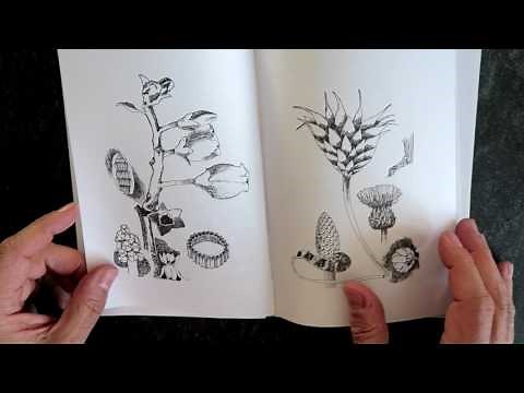 Sketchbook Club 1: Hannah Hinchman