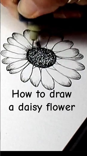 How to draw a realistic daisy flower for beginners #beginnerdrawing #botanicaldrawing #floraart