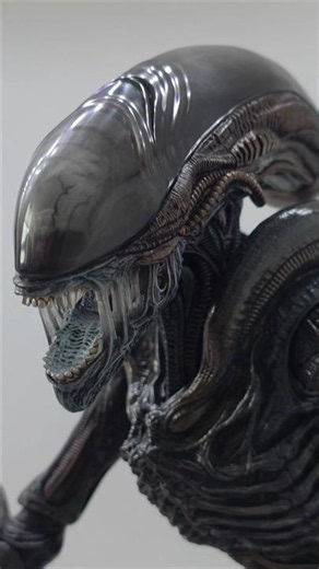 Hot Toys XENO VS Predator! Like For PREDATOR and Sub for ALIEN! You Choose! #hottoys #alien #vs