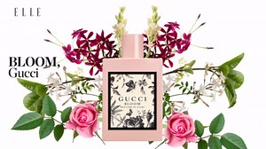 Perfumes para indecisas