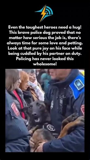 Even Police Dogs Need Some Love! 🐕❤️