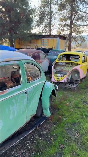 Volkswagen Heaven! Checking Out an Old VW Junkyard