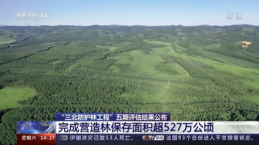 527万公顷！“三北防护林工程”取得巨大生态、经济和社会效益