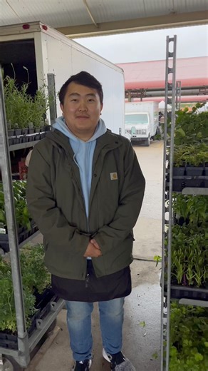 4.8K views · 16 reactions | Have you ever heard of the mimosa plant...