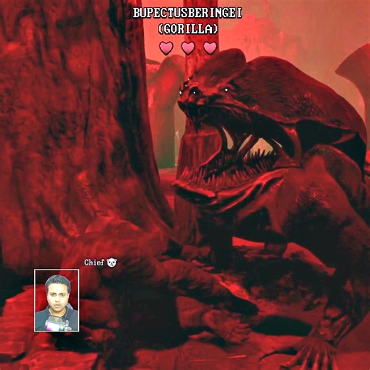 10K views · 40 reactions | Inside Scariest Zoo Simulator | Gaming HERO | Facebook