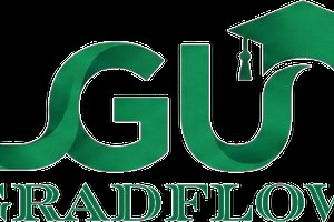 LGU GradFlow