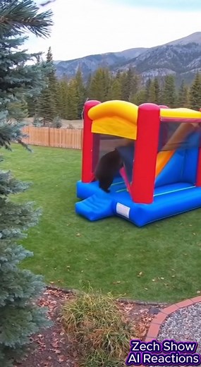 bear caught bouncing #AI | Zech Show