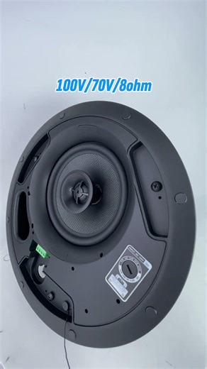 Ceiling Speaker Test 🔥 DP660V2 & DP8100V2 | Powerful SPL & Clean Sound