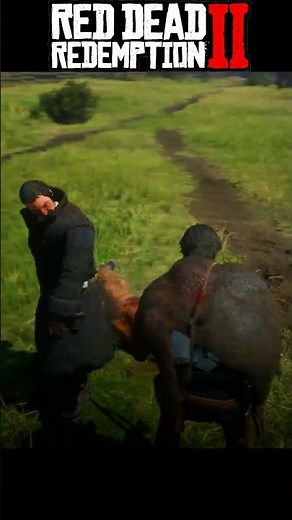 Panther attacks me and Dutch | Death Of Dutch In Red Dead Redemption 2 #rdr2
