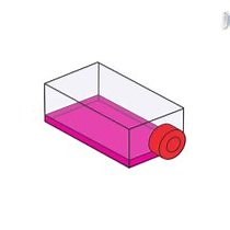 Optimized Method for Electrophysiology | JoVE Journal