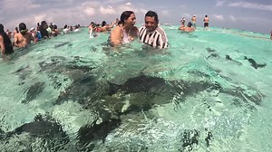 Aventuras en Rose Cay: Captura Recuerdos Únicos