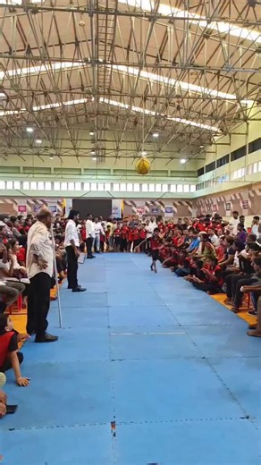 Funny Viral Videos Compilation