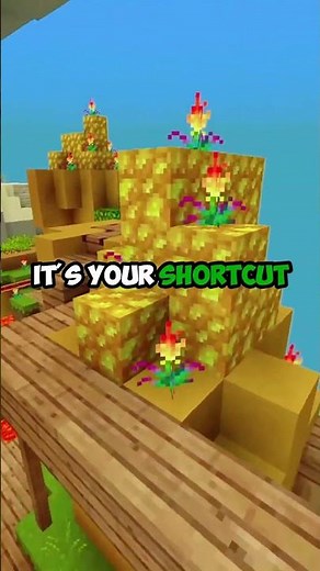 Find Your First Bug FAST Bug Bounty Starter Pack