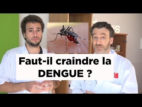 Dengue : Comment s'attrape cette maladie infectieuse et quels sont les symptômes ?