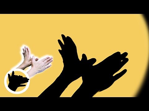 HOW to Make a BUTTERFLY Shadow with Your Hands 👐🦋 Hand Shadow Art Tutorial