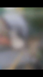 3.7K views · 36 reactions | Slime Time! #muskie #musky #figure8 | Game Over Outdoors | Facebook