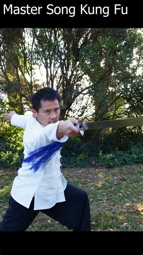 5.6K views · 243 reactions | Dragon Sword. Be soft as dragon and yet with Power - 剑 Full tutorial: Master Song Kung Fu #taichi #wushu #kungfu #qigong #martialarts #selfdefense #kickboxing | Master Song Kung Fu | Facebook