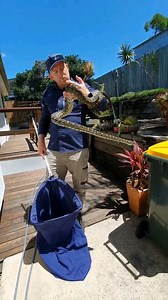 43K views · 980 reactions | Tricky Python Under House! We were...