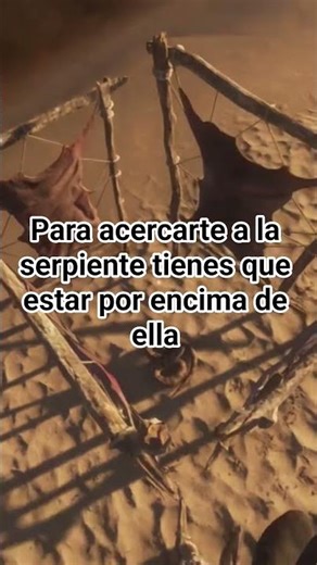 Stranded Deep. Para acercarte a la serpiente tienes que estar por encima de ella