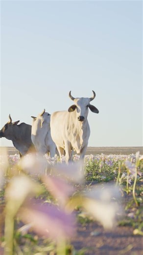 You Won’t Believe This Is Namibia