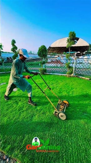 manual grass cutting machine #grasscuttingmachine #manual #shortvideo #gardentools