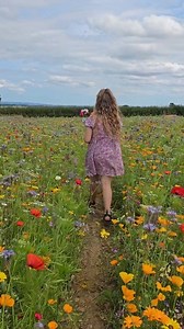 🌸 The Flower Belt – Helmsley 🌸 A dreamy stop for your summer bucket list ✨ Wander through rows of colour in this beautiful wildflower meadow, bursting with poppies, cornflowers and blooms galore! 💐 🌼 Pick your own flowers from the field – it’s £7 for a jam jar of flowers or £15 for a vase 📍Located just outside Helmsley – easy to find and absolutely worth the trip! Whether you're after a peaceful walk, the perfect picnic spot, or a photo-worthy backdrop – this place is a summer must! 🌞📷 👉