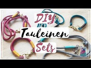 DIY TAULEINE + TAUHALSBAND für den HUND | frauchens.liebling