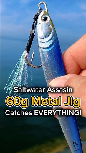 Saltwater Assassin! 60g Metal Jig: Catches EVERYTHING! #fishing #lure #bait