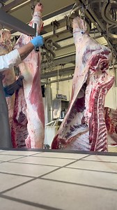 28K views · 177 reactions | “Using Reciprocating Saw” #butcher #OFW #pinoy #italy | Webster David | Facebook