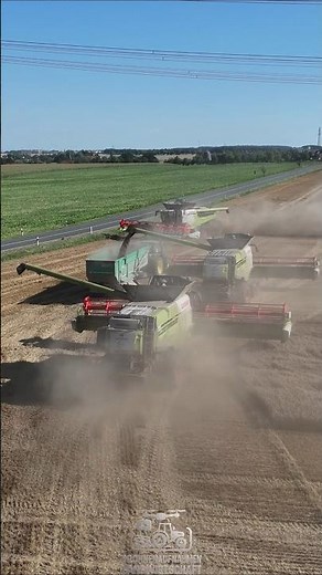 4 Claas Lexion im Einsatz #farming #landwirtschaft #agriculture