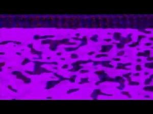 Circuit Bent Feedback Generator / Video Synth / Video processor by LoFi Future