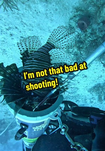 Mastering Lionfish Hunting Skills Unveiled
