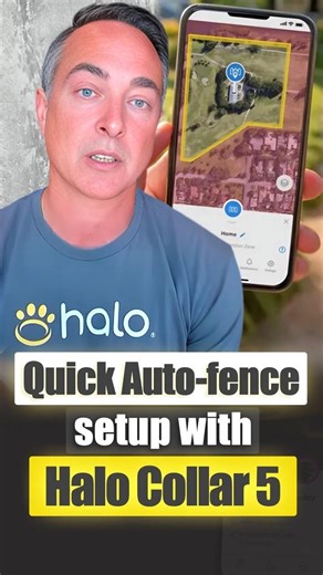 Halo Collar Auto Fence Makes Setup Easy with Just One-Click!