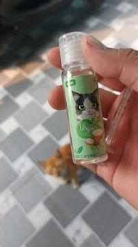 Benefits of Virgin Coconut Oil for Cats