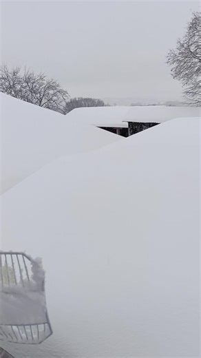 Zima je, decembar... 🌨️☁️❄️🏔️ #decembar #winter #sneg #zima