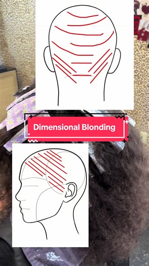 DIY Curly Hair Transformation with Dimensional Blonding