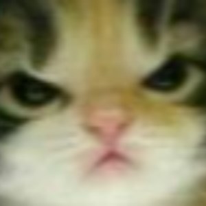 lxli__ - Twitch