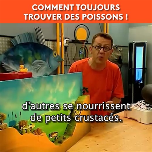 35K views · 617 reactions | Quelle est la méthode pour pêcher des...