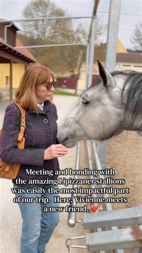 Bonding with the amazing Lipizzaner stallions was easily the most impactful part of our trip.